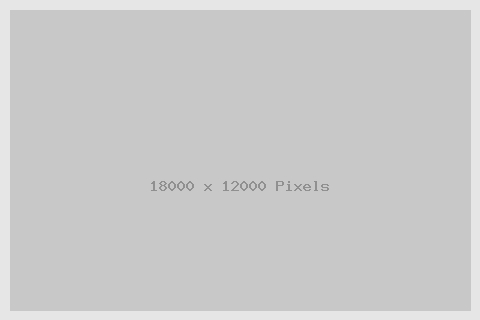 slideshow
