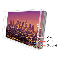 Losangeles Face Mounting Prints On PlexiGlass